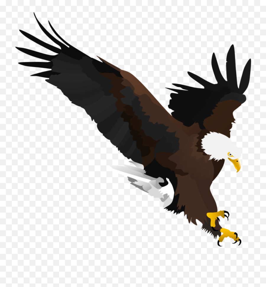 Bald Eagle By Fox - Shade Golden Eagle 896x891 Png Bald Eagle,Golden Eagle Png