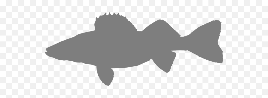 Walleye Fish Silhouette Png Image With - Walleye Silhouette,Fish Silhouette Png