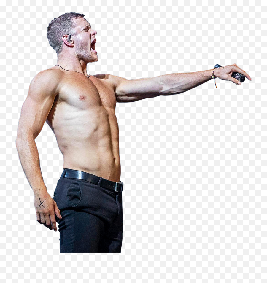 Ai Wellness By Dan Reynolds Training Nutrition And Dietary - Imagine Dragons Solist Body Png,Muscle Arm Png