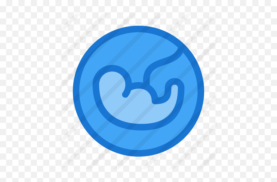 Fetus - Circle Png,Fetus Png