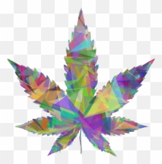 Download Big Image - Pot Leaf Vector PNG with No Marijuana Clipart