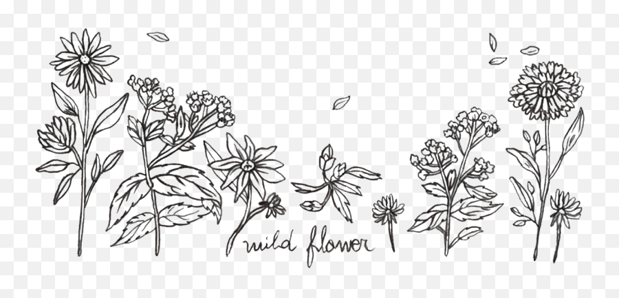 Wild Flowers Stamp - Drawing Png,Wild Flowers Png