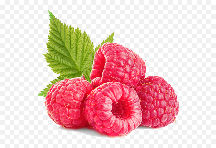 Download Raspberries - Raspberry Full Size Png Image Pngkit Raspberry Png,Raspberries Png