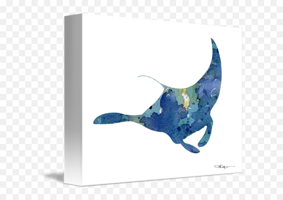 Manta Ray By David Rogers - Watercolor Art Manta Ray Png,Manta Ray Png