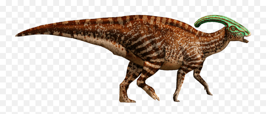 Parasaurolophus Dinosaur Wiki Fandom - Dinosaur With One Horn Png,Dinosaurs Png