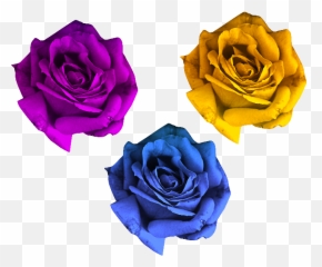 Rose Flowers Png Free - Flowers Png For Photo Shop,Rose Flower Png