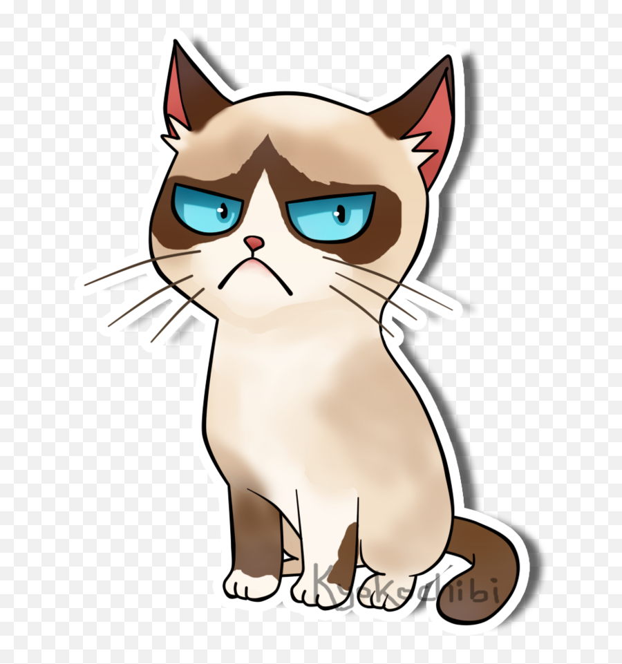 Grumpy Cat Png Image - Grumpy Cat Clipart,Grumpy Cat Png