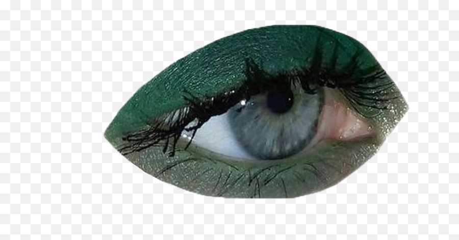 Png Eye Green Aesthetic Moodboard Sticker By Ily Eyes