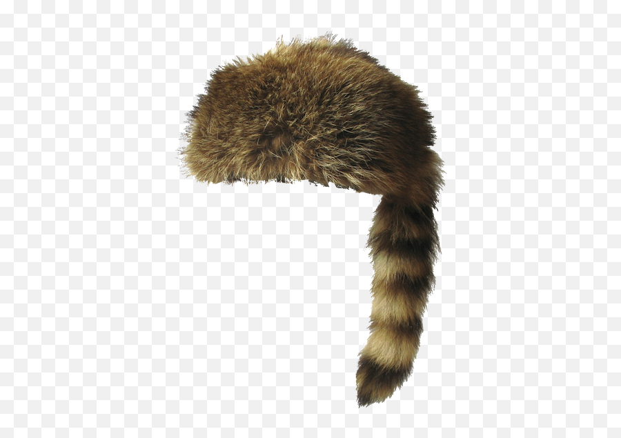 Download Hd Coon Hat - Raccoon Hat Png Transparent Png Image Fur Hat Png Transparent,Raccoon Transparent Background Download Hd Coon Hat - Raccoon Hat Png Transparent Png Image Fur Hat Png Transparent,Raccoon Transparent Background