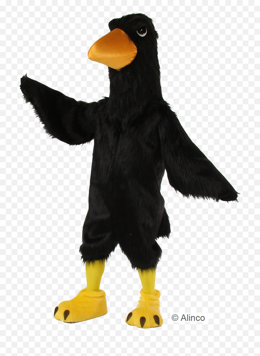 Black Big Bird Png