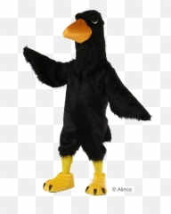 Black Big Bird Png