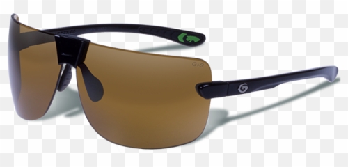 Gargoyle Sunglasses Like Dale Earnhardt - Unisex Png,Dale Like Png