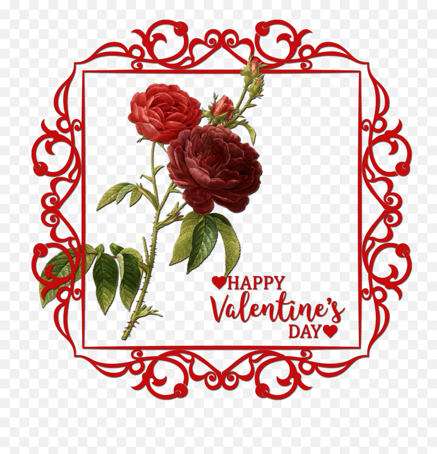 Roses Valentines Background Free Stock Photo - Public Domain Png,Valentine Background Png