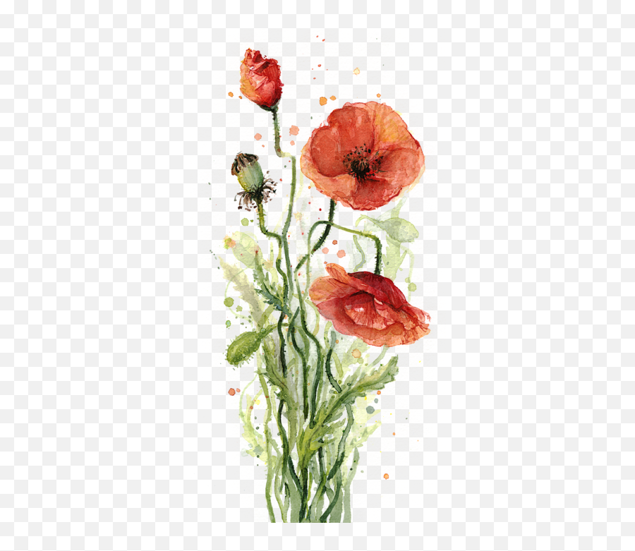 Red Poppies Watercolor Portable Battery Charger - Water Color Painting Of Plants Png,Poppies Png