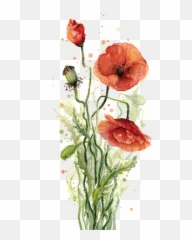Red Poppies Watercolor Portable Battery Charger - Water Color Painting Of Plants Png,Poppies Png