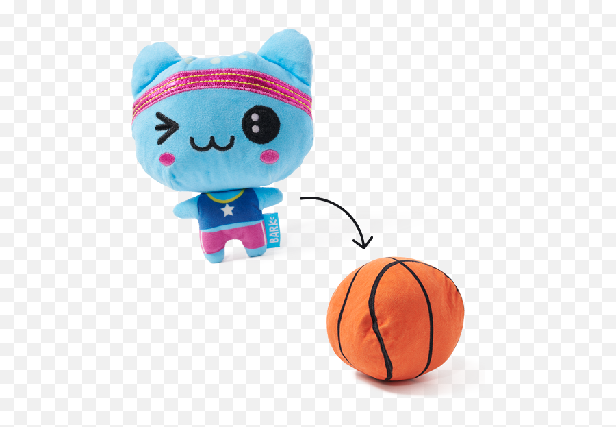 Podium Pups Barkbox - For Basketball Png,Cat Toy Icon