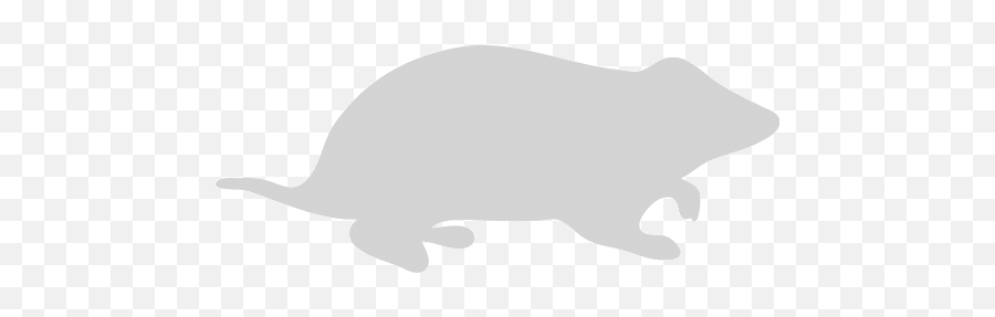 Light Gray Hamster Icon - Marsupial Png,Tail Light Icon