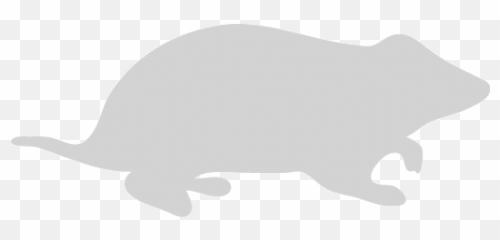 Light Gray Hamster Icon - Marsupial Png,Tail Light Icon