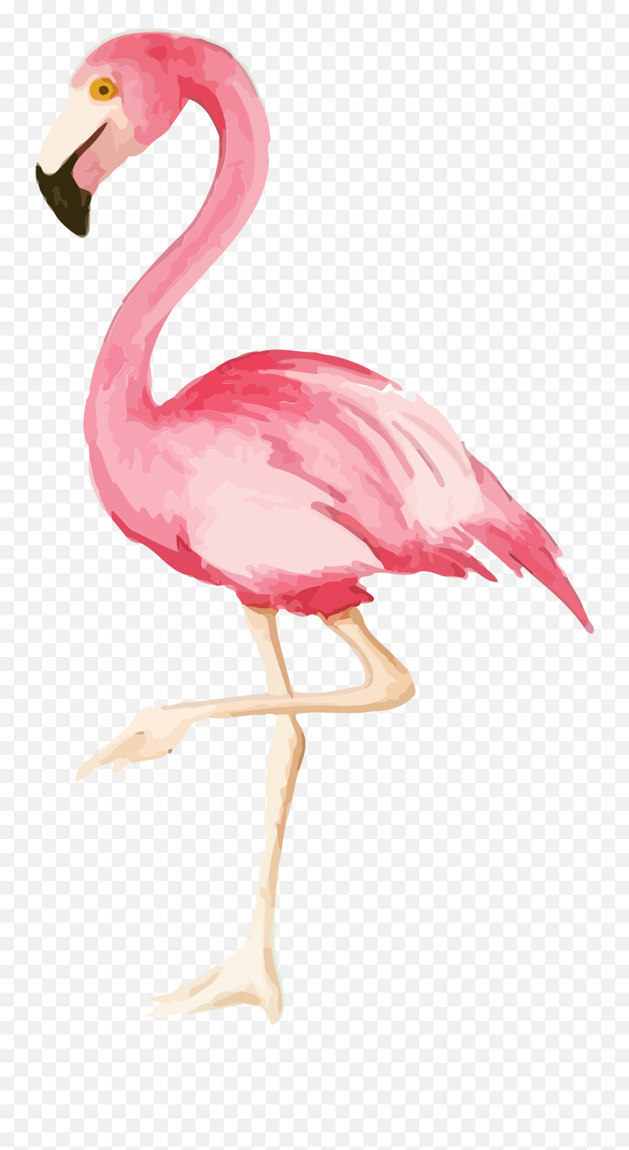 Flamingo Print Party - Watercolor Flamingo Transparent Background Png,Watercolor Png
