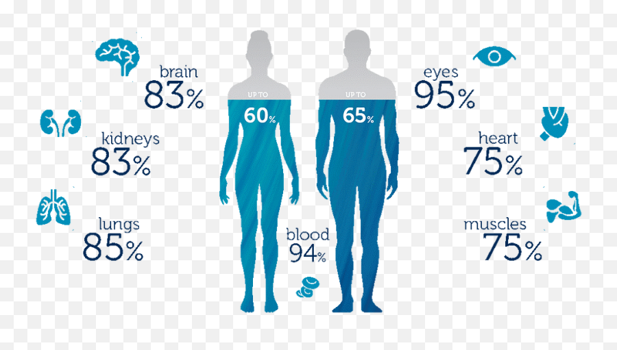 Tracking Hydration To Boost Performance - Water In Human Body Png,Dehydration Icon