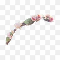 Transparent Flower Crowns Picture Png 42585 - Free Icons