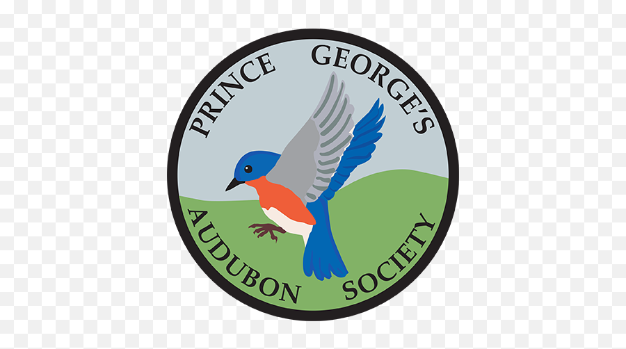 News Prince Georges Audubon Society Png Forest Service Avian Icon
