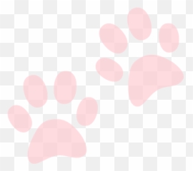 About - Kitteny Dog png