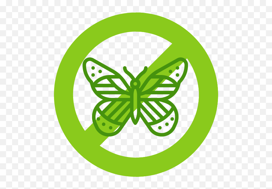 Buddleia - Japanese Knotweed Ltd Girly Png,Colorful Butterfly Icon