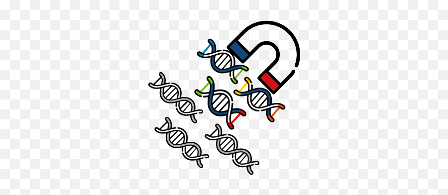 Cdna Synthesis Qpcr And Ngs Reagents Quantabio - Language Png,Nexus 5 Icon Size