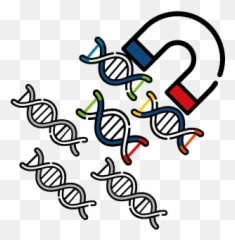 Cdna Synthesis Qpcr And Ngs Reagents Quantabio - Language png