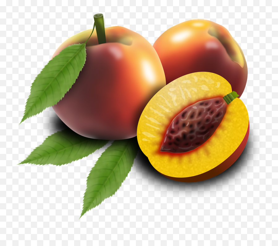Fruits Fruit Peaches - Free Image On Pixabay Broskyna Png,Peaches Png