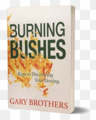 Burning Bushes Png Transparent
