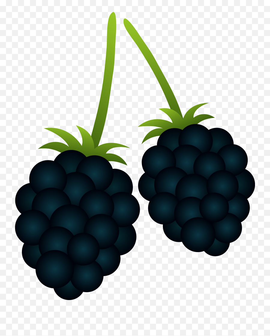 Blackberries Png Files - Black Berries Clipart,Berries Png