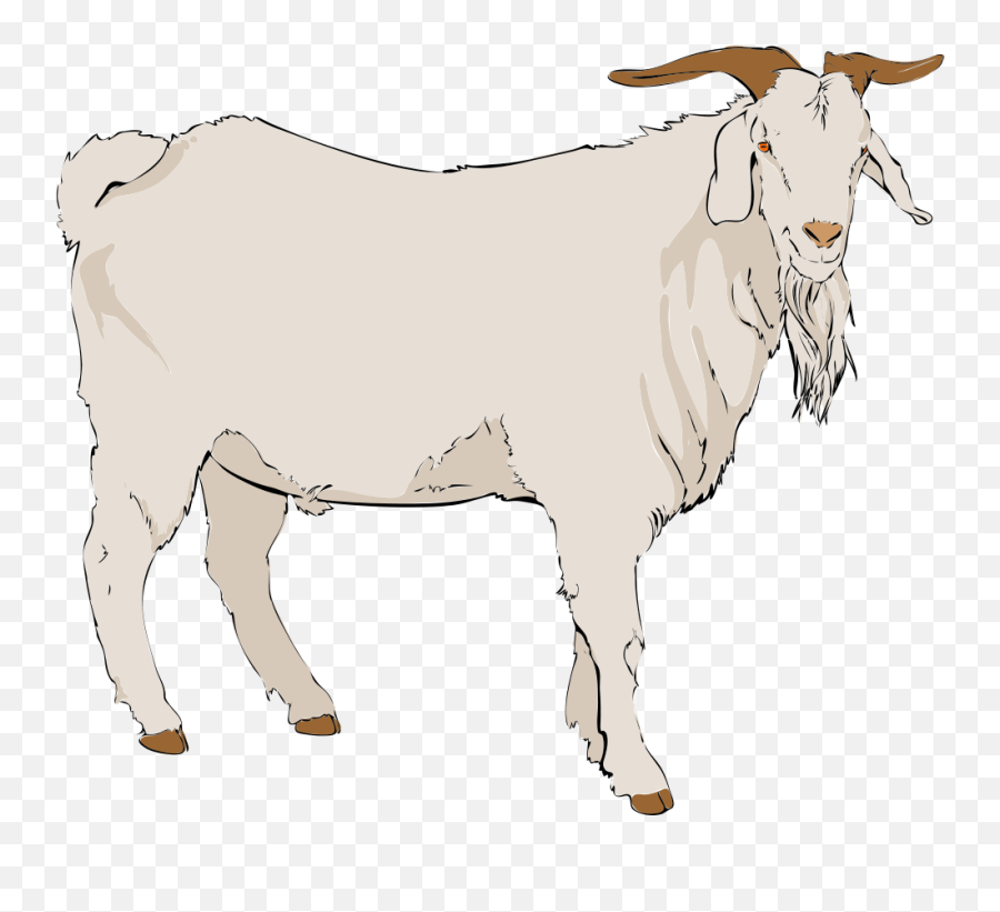 Goat Clipart Transparent Background - Goat Clipart Transparent Background Png,Goat Transparent Background