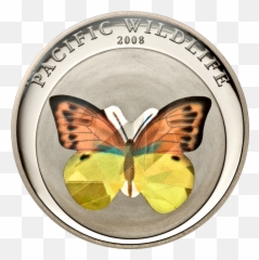 Orangeyellow Butterfly U2013 Cit Coin Invest Ag - Butterflies Png,Yellow Butterfly Png