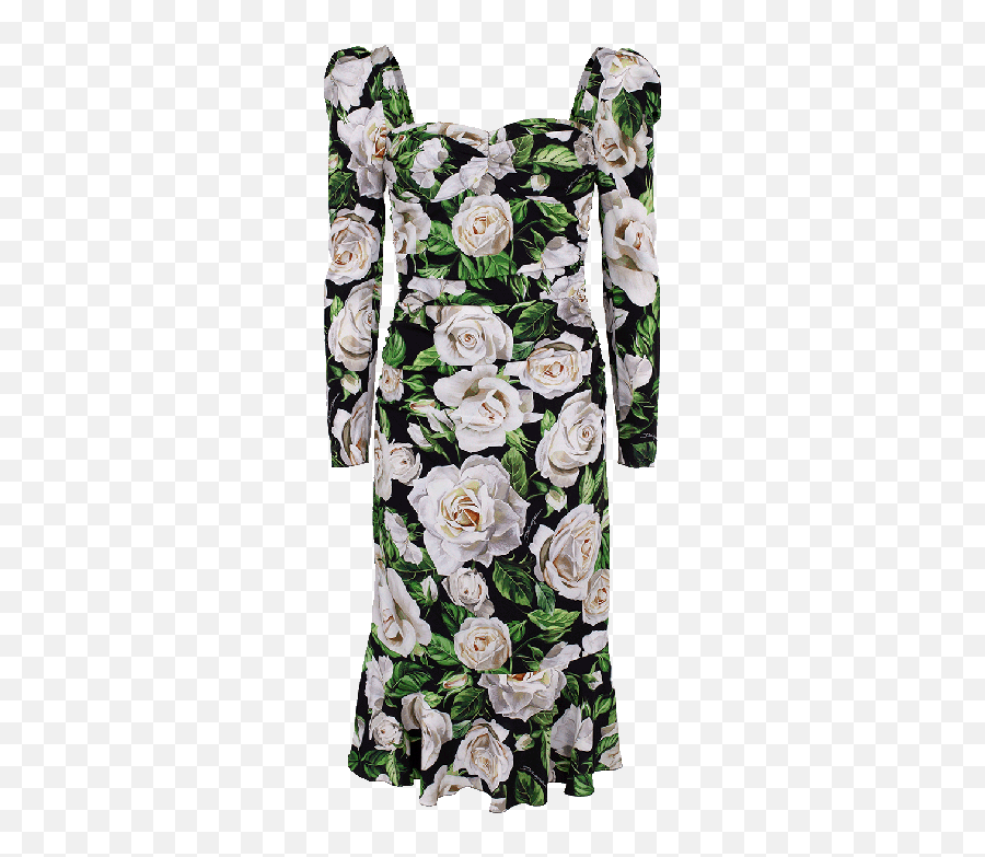 Rose Print Bustier Charmeuse Dress In White Png Dolce Gabbana Logo