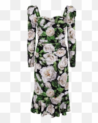 Rose Print Bustier Charmeuse Dress In White Png Dolce Gabbana Logo