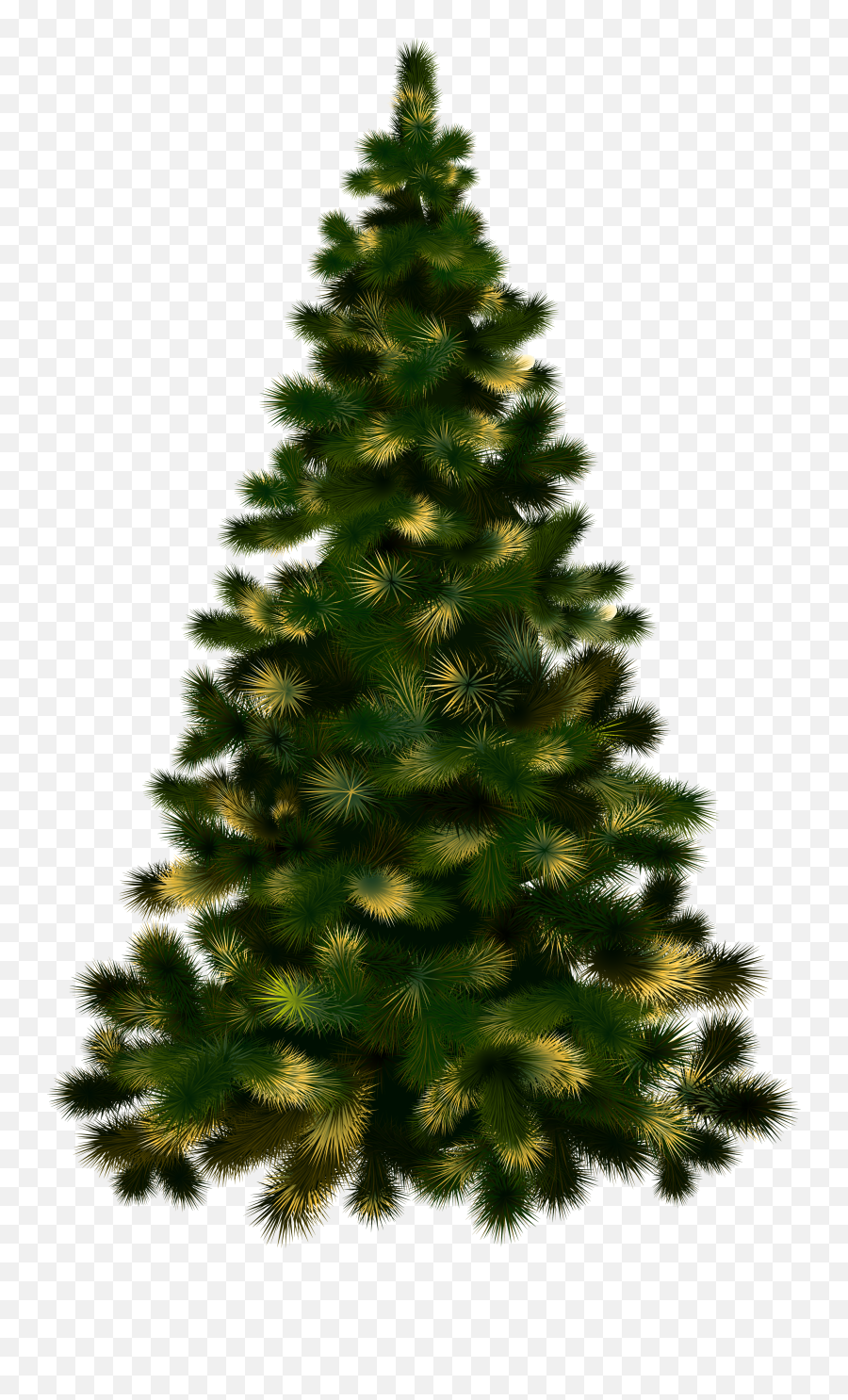 Christmas Tree Without Lights Png Image - Purepng Free Christmas Tree Real Png,Lights Transparent Background