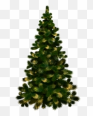 Christmas Tree Without Lights Png Image - PurePNG Free Real Png