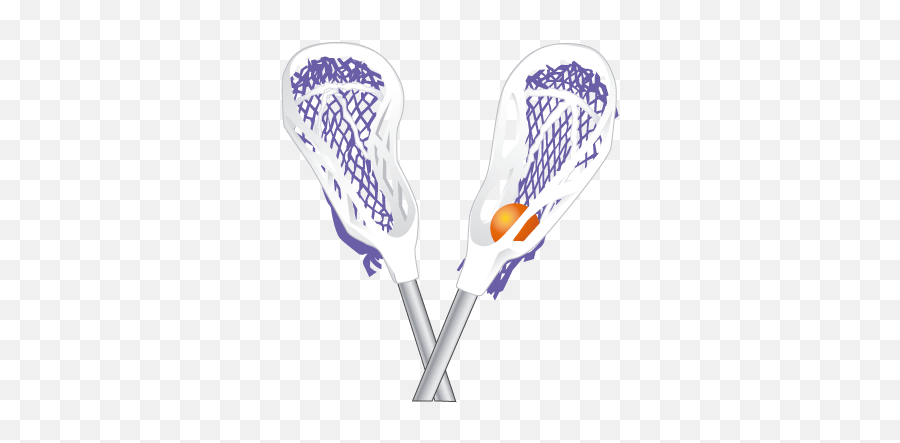 Stonehill College Womens Lacrosse - Lacrosse Stick And Ball Png,Lacrosse Png