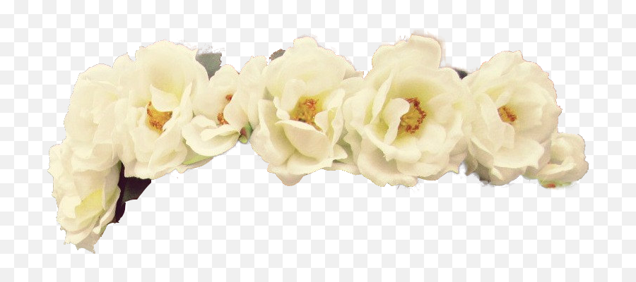 Download Hd White Flower Crown Png Flowers Healthy - Yellow Artificial Flower,Flower Crown Transparent