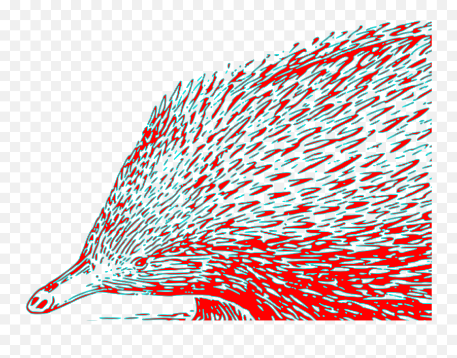 Hog Png Svg Clip Art For Web - Outline Of A Echidna,Hog Png