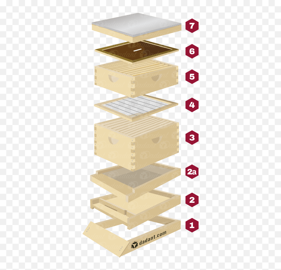 The Basics - Parts Of A Beehive Png,Bee Hive Png