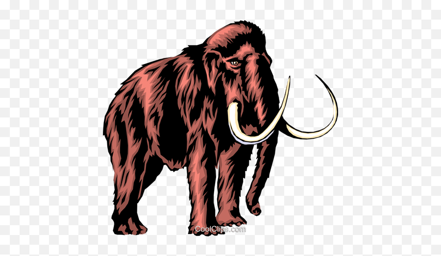 Mammoth Royalty Free Vector Clip Art - Night At The Museum Clipart Png,Mammoth Png