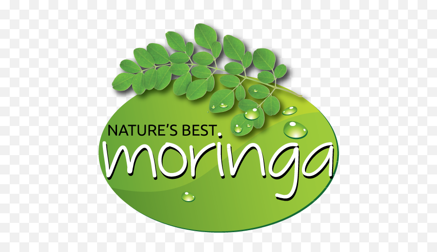 Logo Design Moringa Png Miracle Ear