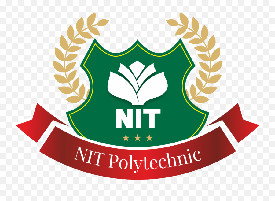 Nitp - Nit Polytechnic Nagpur Nit College Nagpur Logo Png,Low Poly Logo