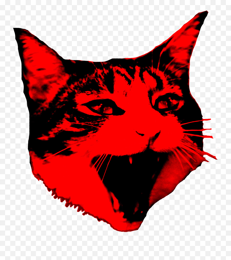 Cat Face - Cat Murphy Band Png Download Original Size Png Transparent Red Cat,Cat Face Transparent