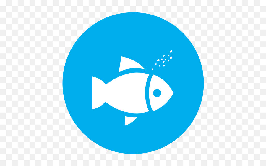 What We Give Our Fish - Twitter Icon For Email Signature Fish Png,Email Icon For Signature