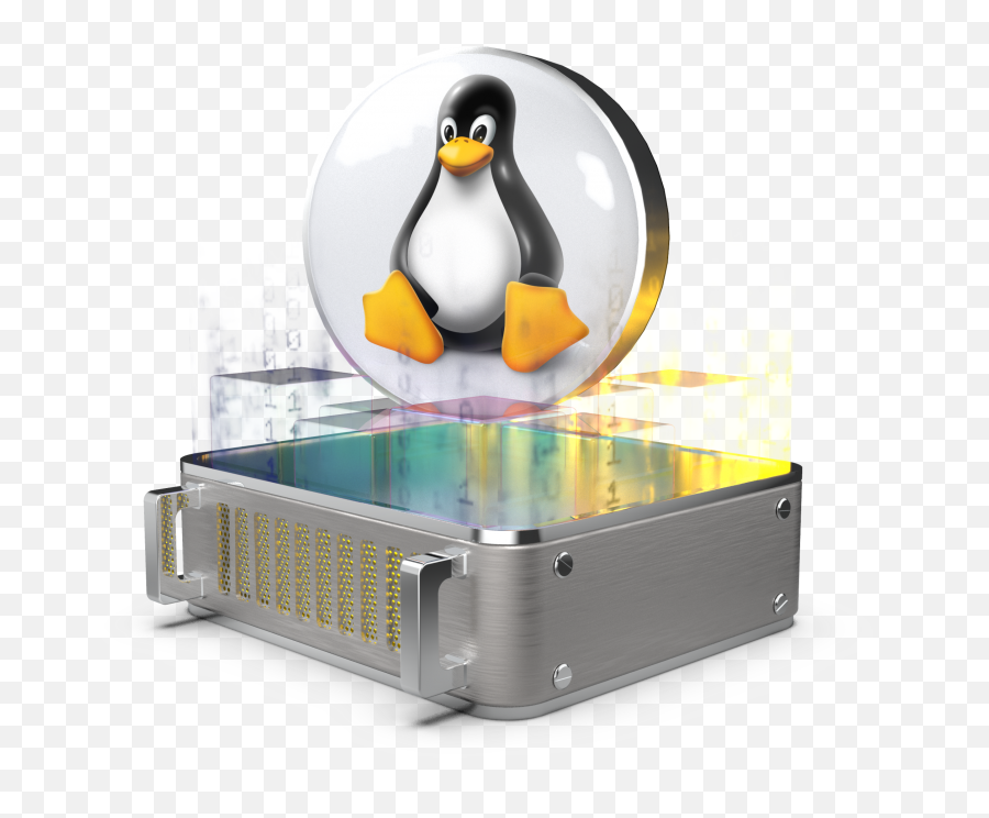 Linux Vps - Adélie Penguin Png,Linux Server Icon