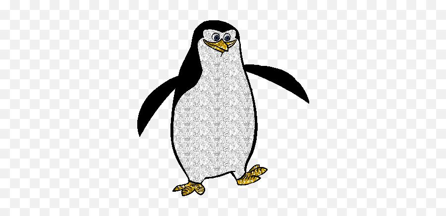 Glitter Gif Picgifs Penguin 8572 - Transparent Penguin Animated Gif Png,Facebook Icon Penguin